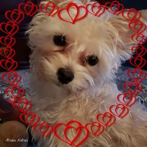 Meet your Posher, Debra